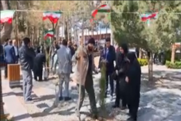 گالری فیلم