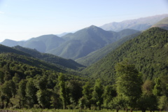 جنگل های هیرکانی مازندران