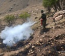 حضور به‌موقع یگان حفاظت، آتش را پشت مرز مراتع متوقف کرد