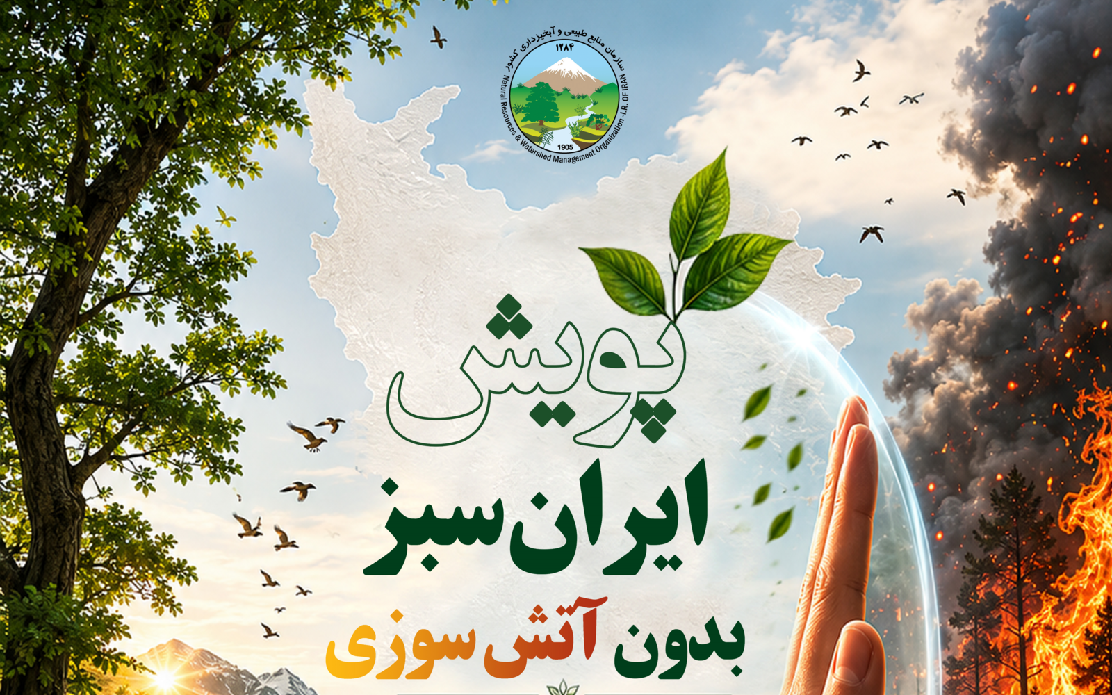 پویش ایران سبز، بدون آتش سوزی