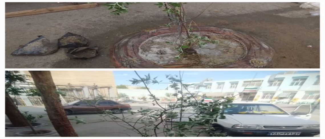 کاشت نهال در آموزش و پرورش ناحیه 5 اصفهان
