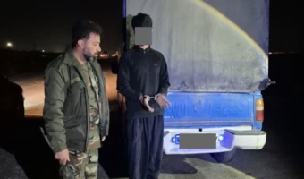 کشف ۵۰۰ کیلوگرم چوب تاغ قاچاق در دشت سجزی / دو متهم دستگیر شدند