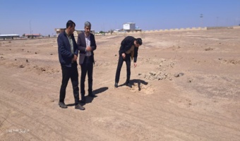 بازدید میدانی از پروژه نهال کاری احیایی شهرستان ورزنه؛ تاکید بر موفقیت ۱۰۰ درصدی طرح‌های نهال‌کاری