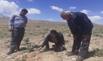 بازدید میدانی رئیس اداره جنگلداری و جنگل کاری اداره کل منابع طبیعی و آبخیزداری استان از طرح‌های جنگل‌کاری و نهالستان‌های سمیرم