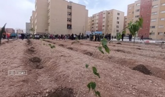 کاشت بیش از 20 هزار اصله نهال در شهرستان شهرضا  از ابتدای دفاع مقدس سوم تاکنون