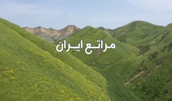 توقیف بیش از یک و نیم تُن انواع گیاهان کوهی در فریدونشهر