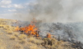 آتش‌سوزی به ۱۱ هکتار از مراتع اصفهان خسارت وارد کرد