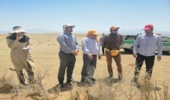 بازدید معاون فنی امور بیابان سازمان منابع طبیعی از طرح های نهال کاری و تولید نهال آران و بیدگل