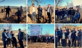 آغاز عملیات کاشت نهال در 180 هکتار از مراتع چادگان