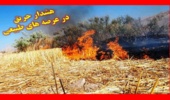 هشدار نسبت به احتمال وقوع آتش سوزی در عرصه های طبیعی 
