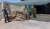 کشف و ضبط بیش از ۴۰۰ کیلوگرم چوب و ذغال بلوط غیرمجاز در اصغر آباد خمینی شهر