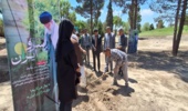 برگزاری پویش سرو ایران به مناسبت روز معلم و روز کارگر