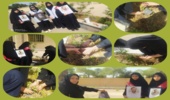 کاشت ۵۰ اصله نهال در باغ فدک اصفهان