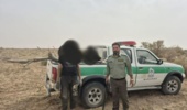توقیف یک خودرو وانت پیکان حامل ۴۰۰ کیلوگرم چوب ممنوعه تاغ در دشت سجزی شهرستان کوهپایه