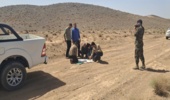 اجرای عملیات پایش و آماربرداری دام (شاخ‌شماری) در مراتع ییلاقی روستای جهادآباد