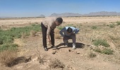 پایش میدانی کانون‌های آلوده به جوندگان در شاهین‌شهر و میمه برای مقابله با بیماری سالک