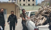 توقیف خودروی حامل چوب قاچاق در کاشان