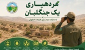 دهیاران؛ پیشگامان صیانت از جنگل‌ها، مراتع و عرصه‌های ملی در طرح «هر دهیاری یک جنگلبان»
