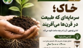 خاک؛ ثروتی که طبیعت در قرن‌ها می‌آفریند، اما بی‌توجهی آن را در چند ساعت نابود می‌کند