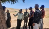 توقیف مرتع ونک سفیدخانی چادگان