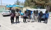 انهدام بزرگ‌ترین باند سرقت چوب تاغ در دشت سجزی شهرستان کوهپایه؛