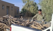کشف و ضبط ۲۴۷ کیلوگرم چوب تاغ قاچاق در پلیس راه بادرود