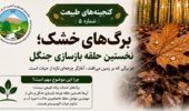 وقتی جنگل، آینده خود را بر زمین می‌نویسد…
