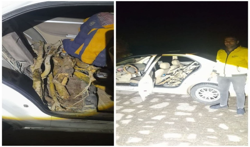 کشف و ضبط محموله چوب قاچاق در دشت سجزی/ توقیف خودروی حامل چوب تاغ