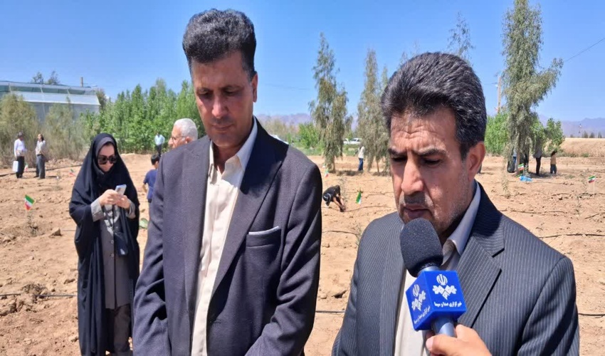 اصفهانی‌ها در پویش سرو ایران ۶۰ هزار اصله نهال کاشتند