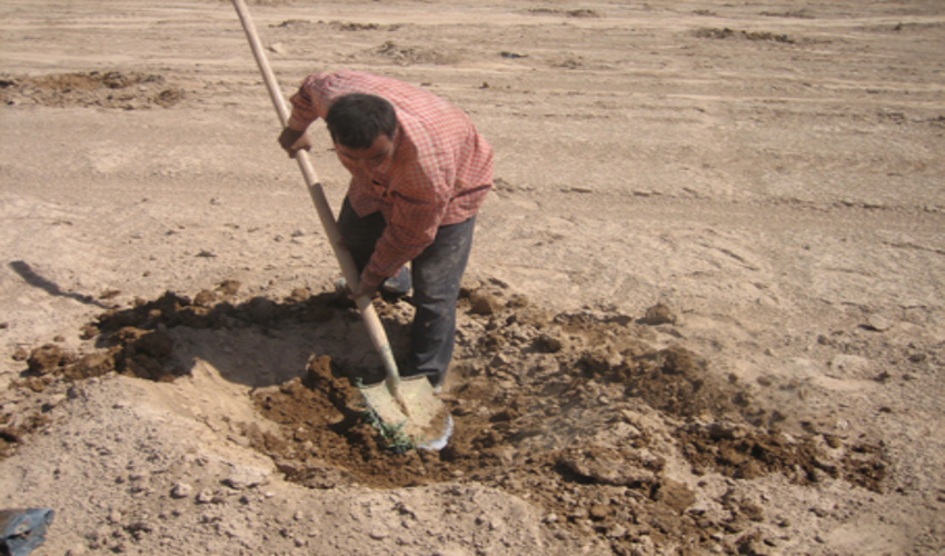 ۳۲۵ میلیارد اعتبارات سفر رئیس جمهوری در حوزه منابع طبیعی مصوب شد