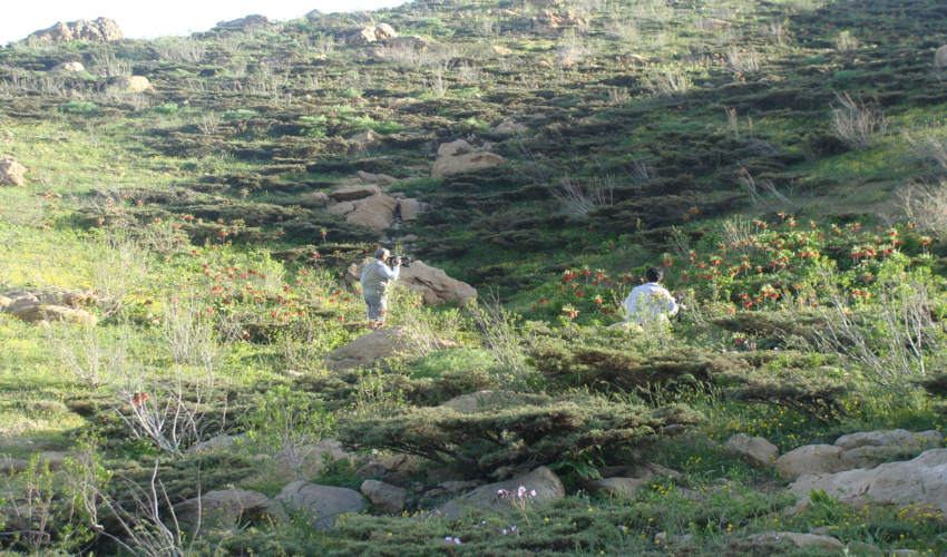 صدور سند تک برگ ۳۱۳۰ هکتار زمین‌های ملی کاشان