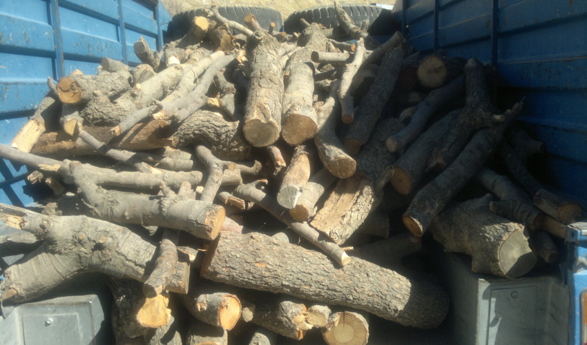 کشف ۱۲ تن چوب قاچاق در گلوگاه نایین