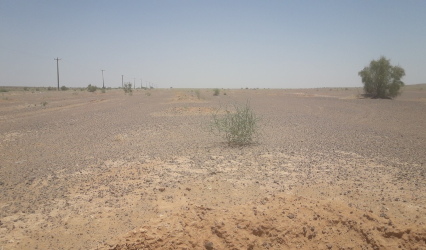 ۴۵ درصد اردستان، بیابان است