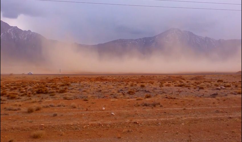 جایگاه نخست اصفهان در ایجاد جنگل کاری دست کاشت کشور