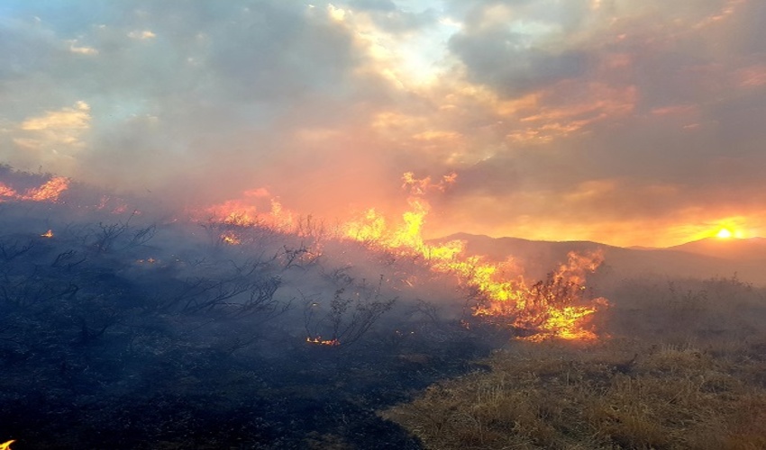 بی احتیاطی عامل۹۰ درصد آتش سوزی جنگل و مراتع در اصفهان است
