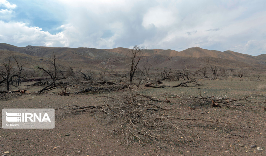 نیمی از استان اصفهان درگیر پدیده بیابان زایی است