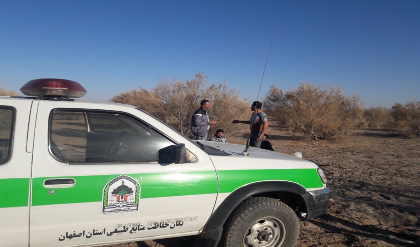 دستگیری قاچاقچی چوب در تاغزارهای نوش‌آباد