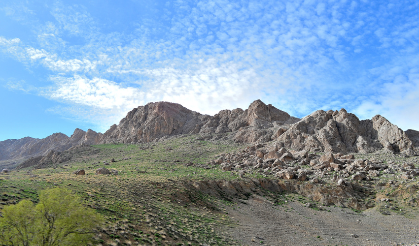 عملکرد صندوق حمایت از توسعه منابع طبیعی استان اصفهان تشریح شد 