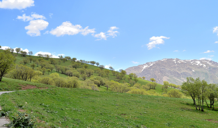 کمبود نقدینگی بزرگترین مشکل شرکت های تعاونی منابع طبیعی و مرتعداری 