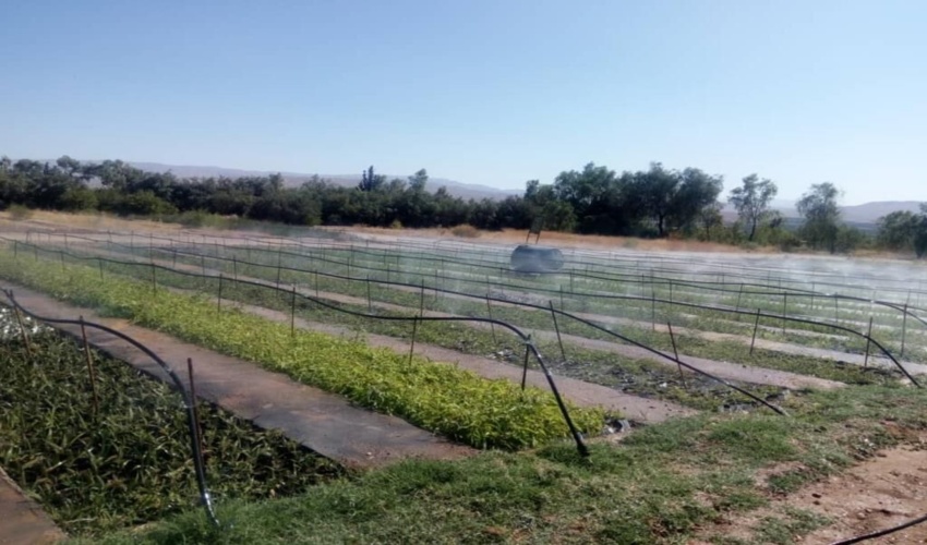 امضای سند همکاری برای تولید ۴۰۰ هزار اصله درخت و درختچه در اصفهان