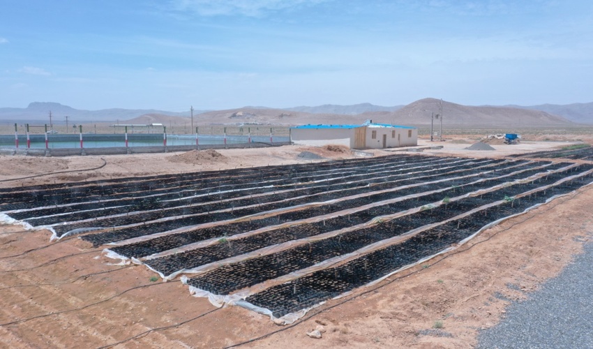 اجرای طرح مردمی کاشت یک میلیارد درخت در اصفهان نیازمند همکاری صنایع بزرگ استان است