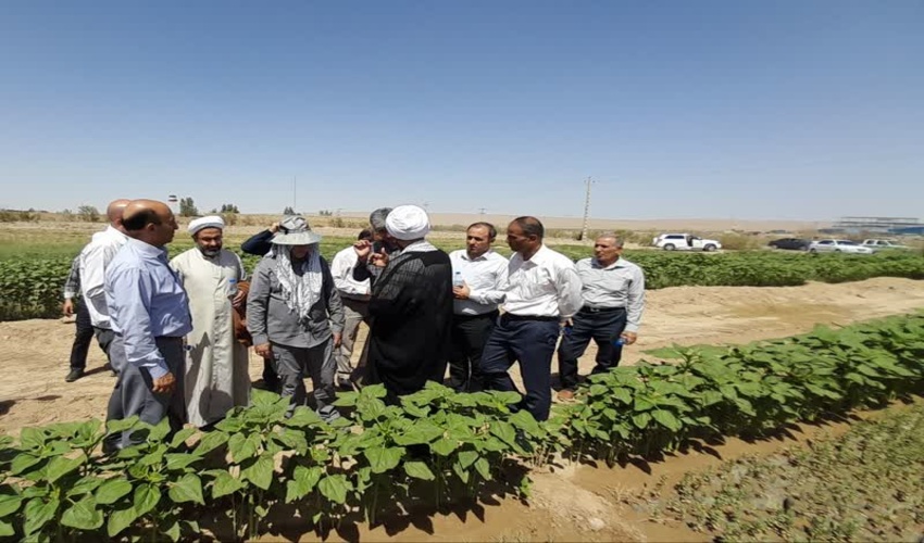 بازدید مدیران سازمان منابع طبیعی و آبخیزداری کشور از نهالستان طرح مردمی کاشت یک میلیارد درخت در تصفیه خانه کاشان