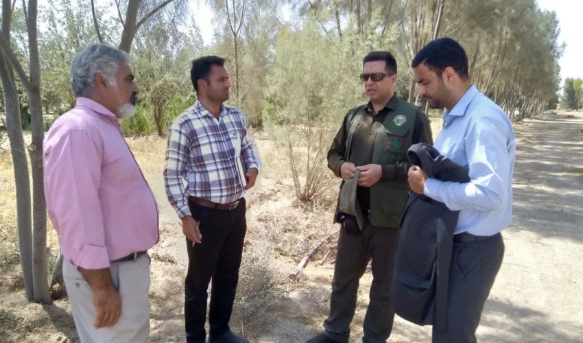 پیگیری کاشت گونه های درختی مناسب در پارک کویری پروفسور کردوانی آران و بیدگل