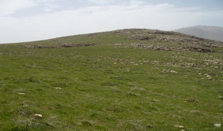 آمادگی اداره کل منابع طبیعی و آبخیزداری استان اصفهان نسبت به احیای مراتع در سطح استان