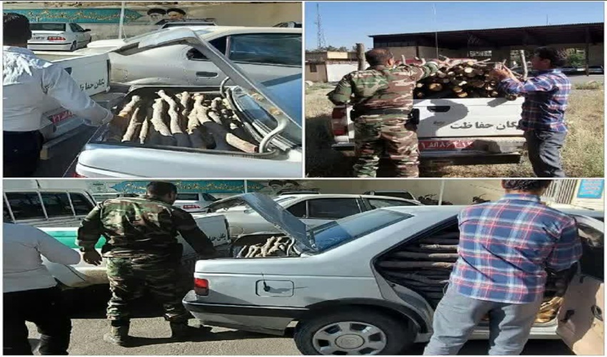 ‌توقیف دو خودرو حامل چوب قاچاق در لنجان
