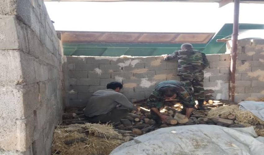 کشف چوب و زغال غیرمجاز در شهرستان خمینی شهر