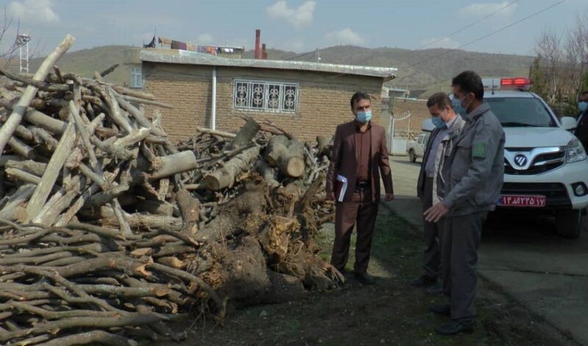 ۱۳۰ تُن چوب قاچاق در اصفهان کشف شد