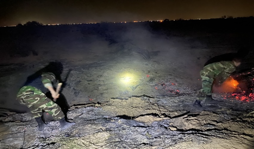 آتش به جان تاغزارهای برخوار افتاد