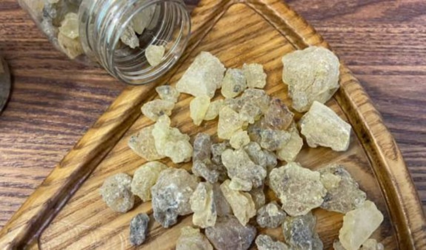 برداشت سالانه ۱۰۰ تن کتیرا در اصفهان