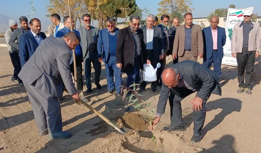 یک هزار و 100 هکتار از مراتع کاشان جنگل کاری می شود